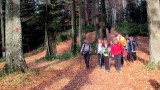 11. Nakon četri sata hodanja i odmaranja, stižemo na odredište
